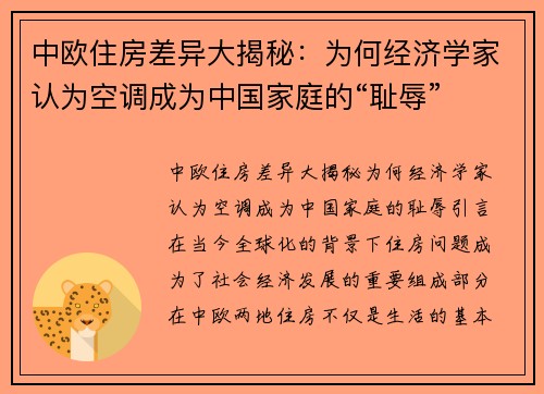 中欧住房差异大揭秘：为何经济学家认为空调成为中国家庭的“耻辱”