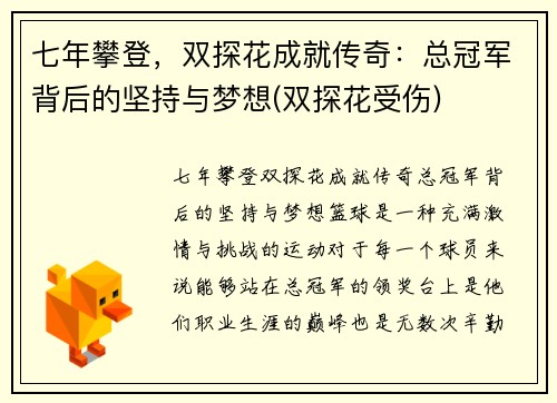 七年攀登，双探花成就传奇：总冠军背后的坚持与梦想(双探花受伤)