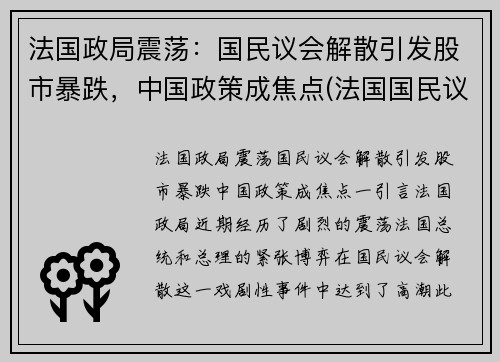法国政局震荡：国民议会解散引发股市暴跌，中国政策成焦点(法国国民议会官网)