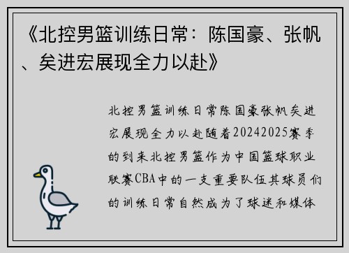 《北控男篮训练日常：陈国豪、张帆、矣进宏展现全力以赴》