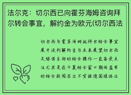法尔克：切尔西已向霍芬海姆咨询拜尔转会事宜，解约金为欧元(切尔西法国球星)