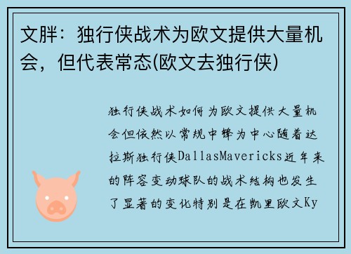 文胖：独行侠战术为欧文提供大量机会，但代表常态(欧文去独行侠)